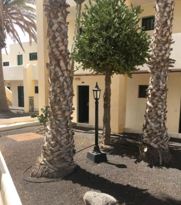 Suri Costa Teguise Apartment Luaran gambar